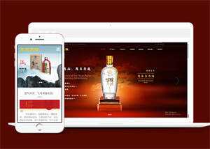 酒业包装设计类网站前端模板下载 - 阿泽资源网