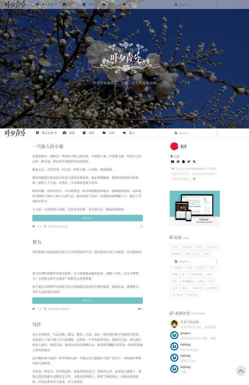 wordpress极简优秀的博客主题–ErlSimpleV1.5主题 - 阿泽资源网