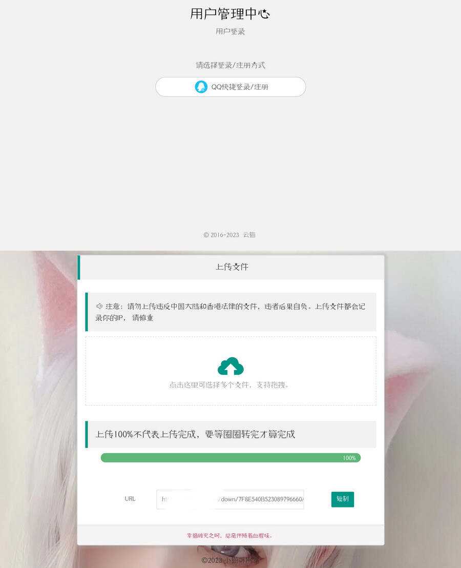 带后台的简洁网盘源码小猫咪网盘V1.3 - 阿泽资源网
