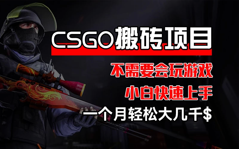 CSGO 装备搬砖项目，操作简单，不需要会玩游戏，小白也能快速上手，一个月轻松大几千 - 阿泽资源网