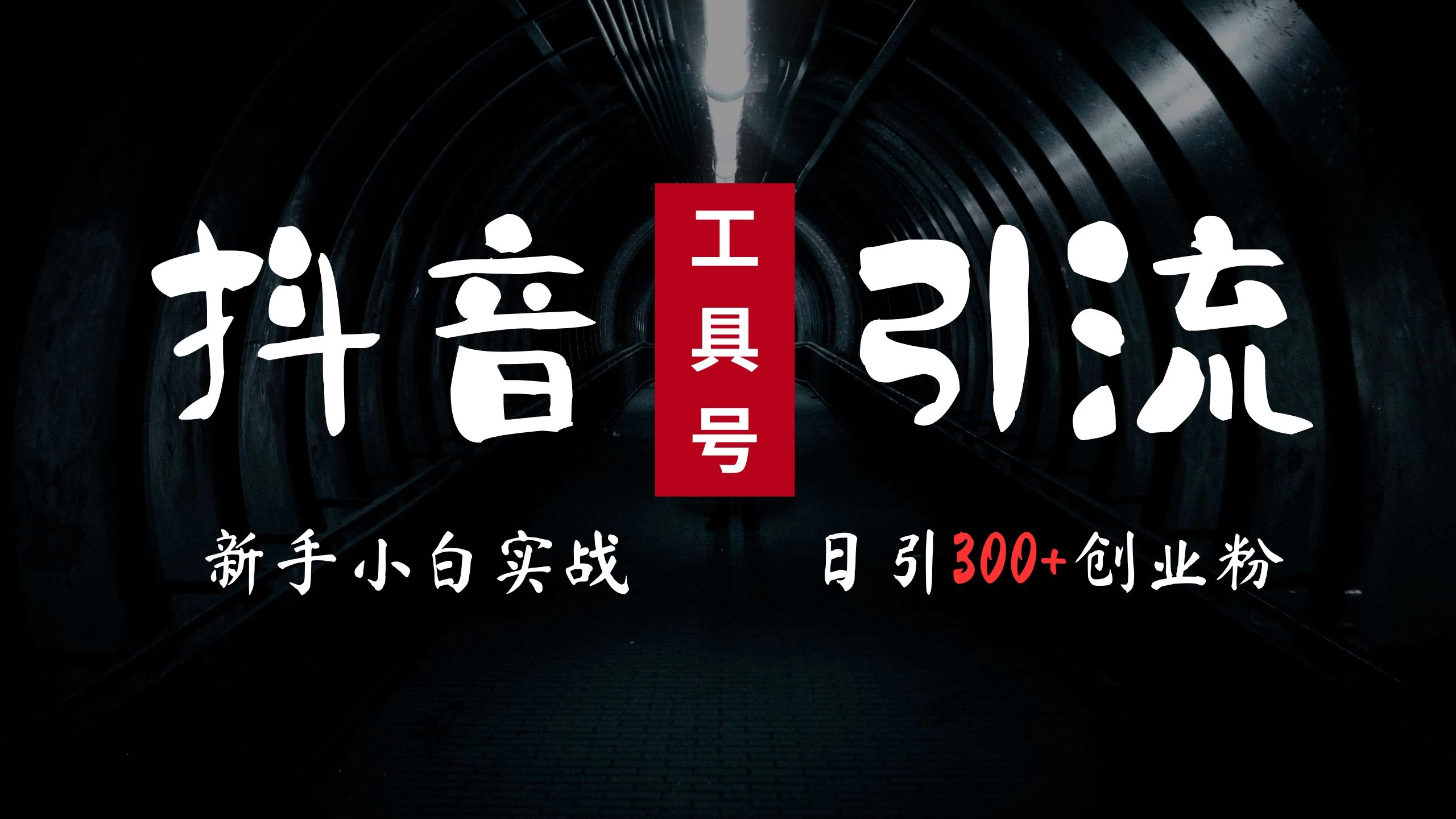2024最新抖音工具号引流玩法，高效日引300+创业粉，当天变现5000+，小白也可成为实战高手 - 阿泽资源网