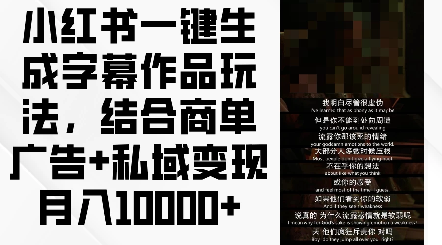 小红书一键生成字幕作品玩法，结合商单广告+私域变现月入10000+ - 阿泽资源网
