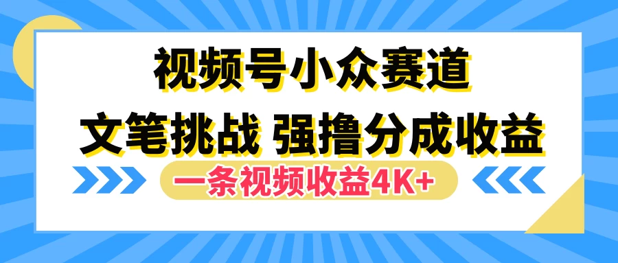 视频号小众赛道，文笔挑战，一条视频收益4K+ - 阿泽资源网