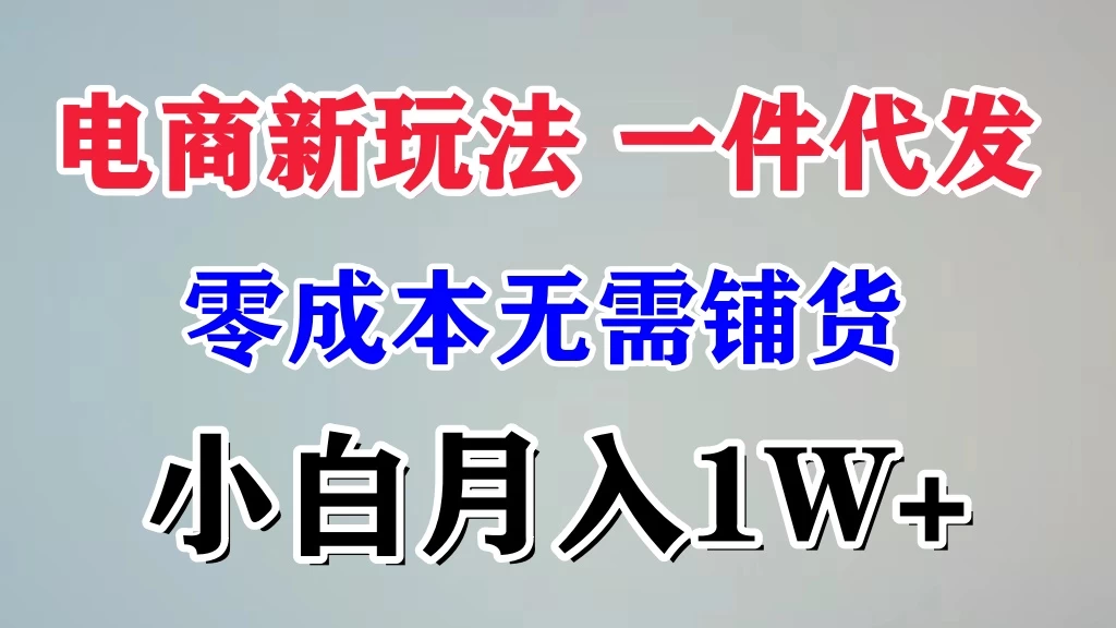 电商新玩法,一件代发,零成本无需铺货,小白月入1W+ - 阿泽资源网