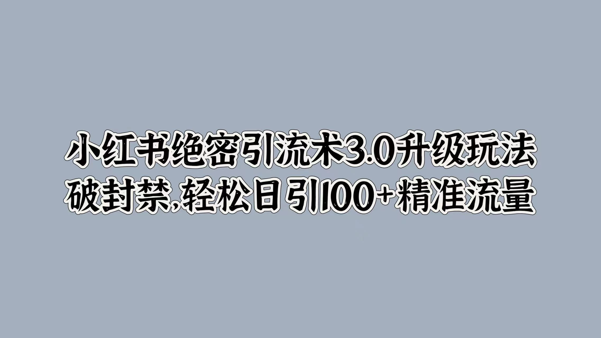 小红书绝密引流术3.0升级玩法，破封禁，轻松日引100+精准流量 - 阿泽资源网