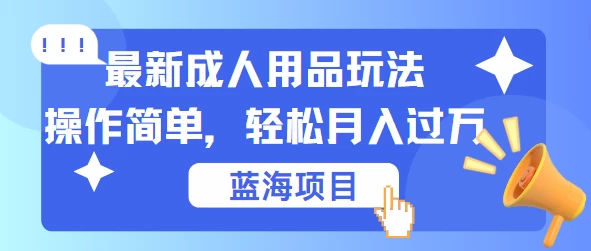 最新成人用品项目玩法,操作简单,蓝海项目轻松月入过万 - 阿泽资源网