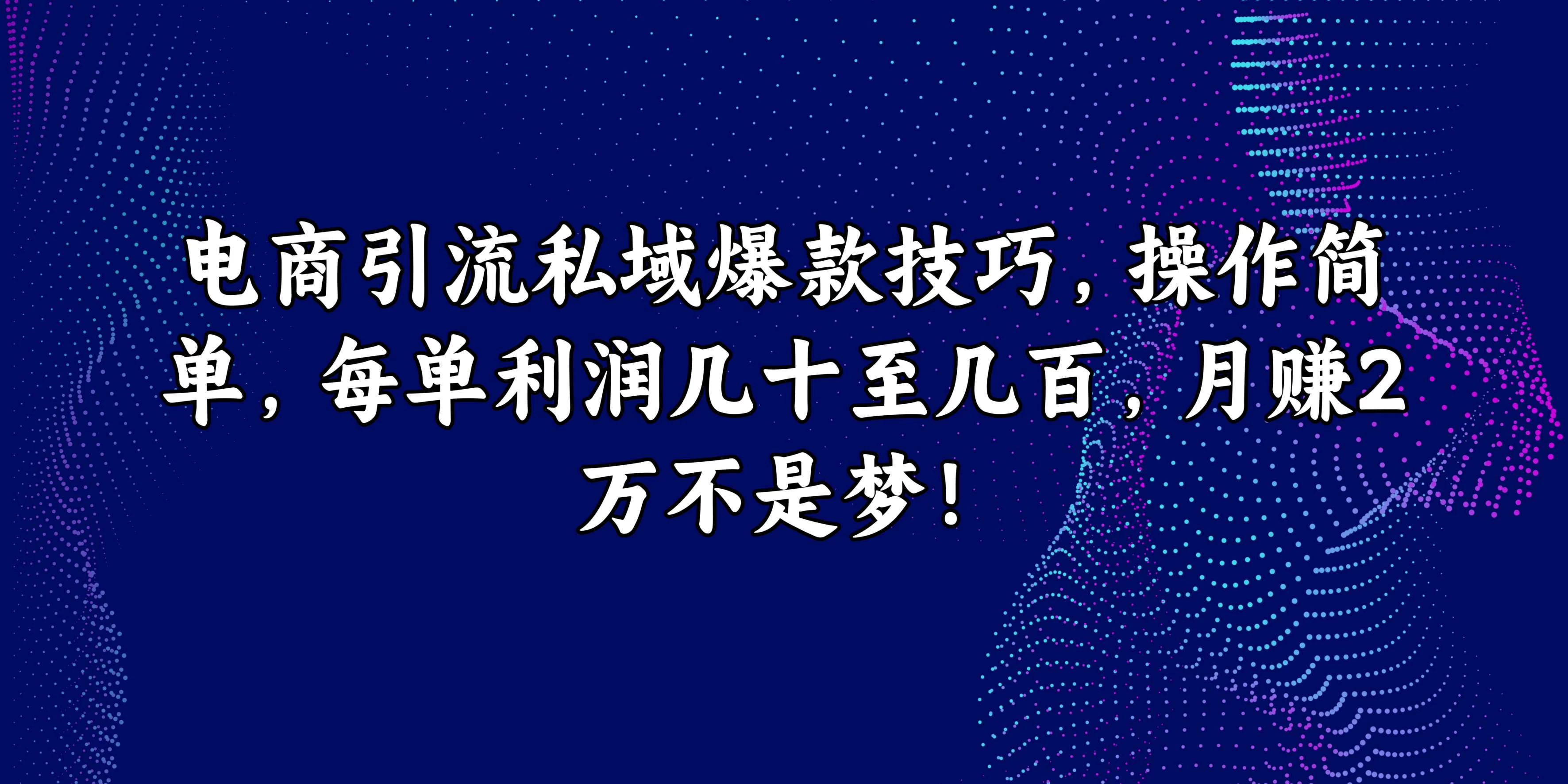 电商引流私域爆款技巧，操作简单，每单利润几十至几百，月赚2万不是梦！ - 阿泽资源网