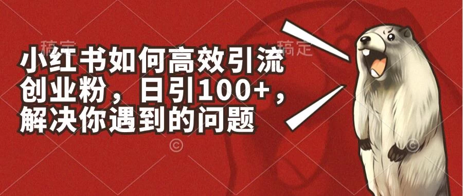 小红书如何高效引流创业粉，日引100+，解决你遇到的问题 - 阿泽资源网