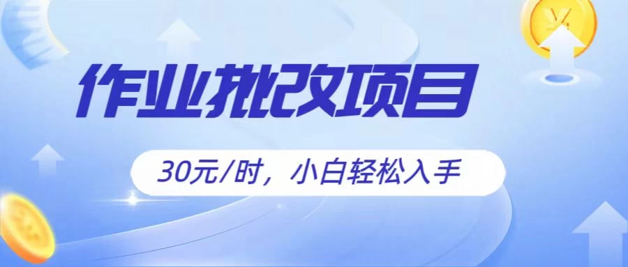作业批改项目30元/时，小白轻松入手，非常的简单 - 阿泽资源网