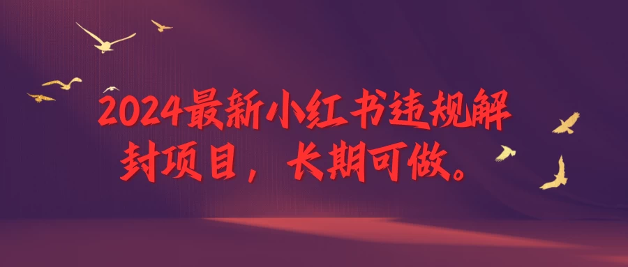 2024最新小红书违规解封项目，一个可以做到退休的项目 - 阿泽资源网