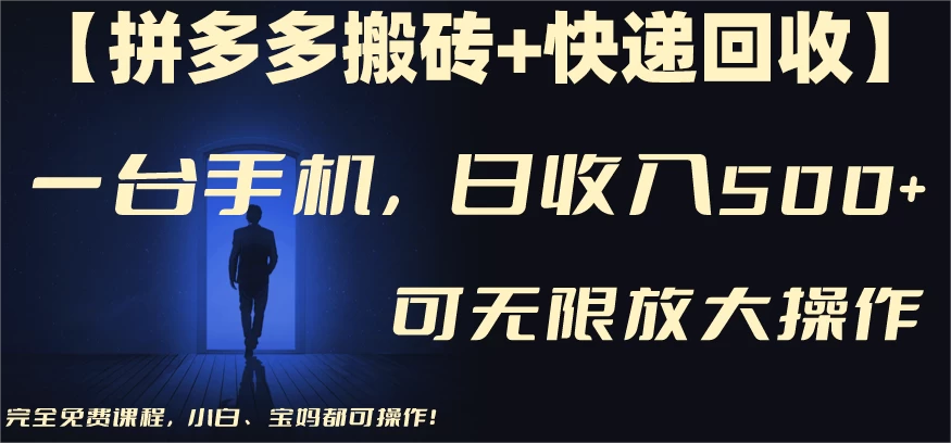 拼多多搬砖+快递回收,日入600+,可多号矩阵收益无上限 - 阿泽资源网