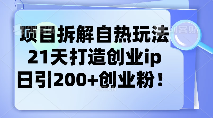 项目拆解自热玩法，21天打造创业IP，日引200+创业粉 - 阿泽资源网