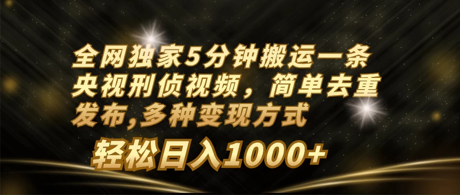 全网独家5分钟搬运一条央视刑侦视频,简单去重发布,多种变现方式,轻松日入1000+ - 阿泽资源网