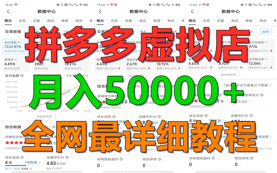 拼多多虚拟电商月入50000+你干你也行，暴利稳定长久，副业首选 - 阿泽资源网