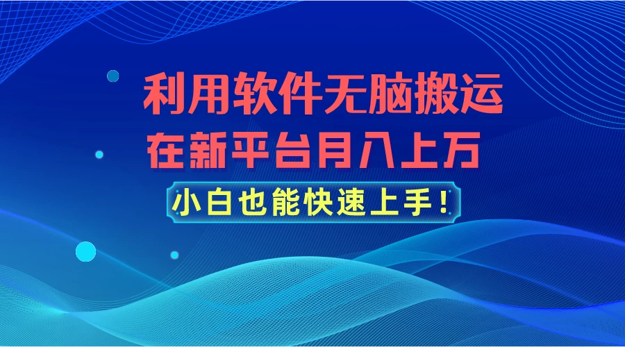 利用软件无脑搬运，在新平台月入上万，小白也能快速上手 - 阿泽资源网
