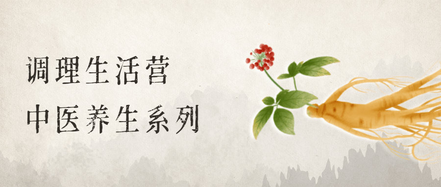 调理生活营：中医养生系列 - 阿泽资源网