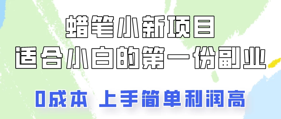 蜡笔小新项目拆解，小白一个月也能多赚3000+ - 阿泽资源网