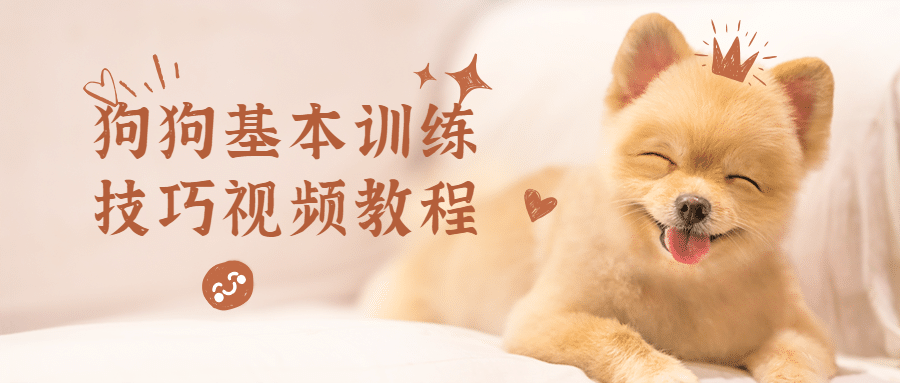 狗狗基本训练技巧视频教程 - 阿泽资源网