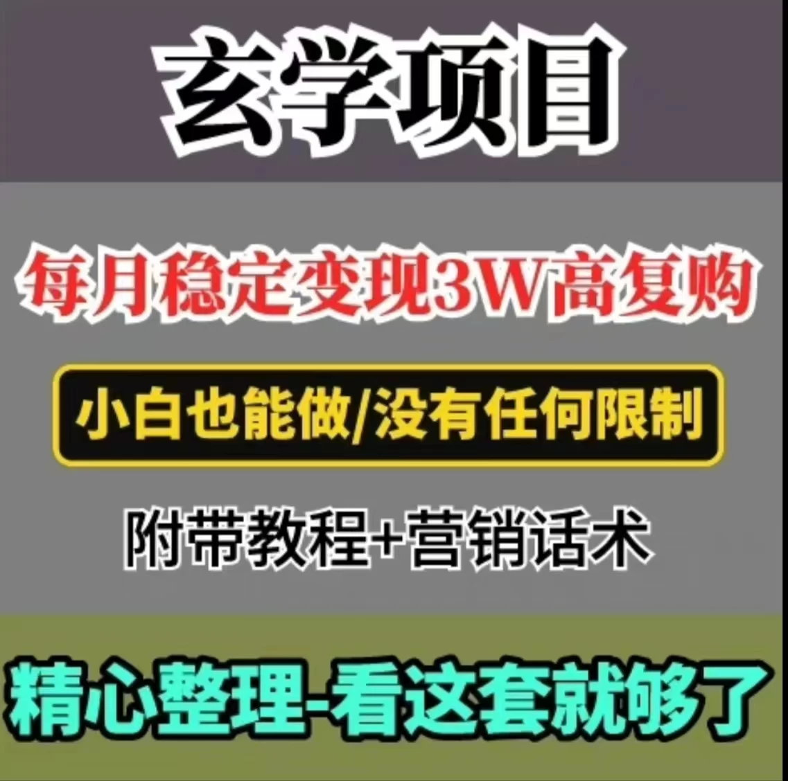每月稳定变现3W+，高复购玄学项目，小白也能做 - 阿泽资源网