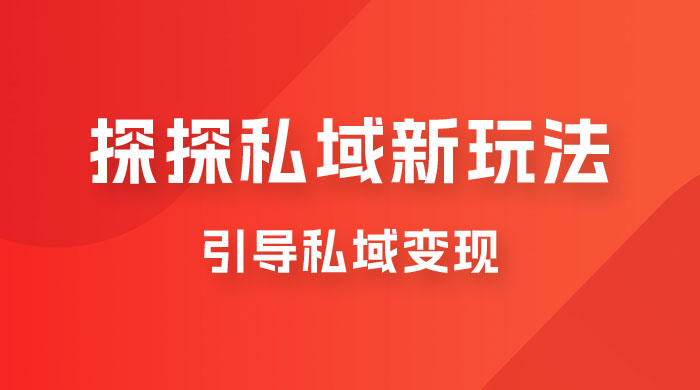 探探私域新玩法，引导私域变现，一部手机日入 500+ 很轻松 - 阿泽资源网