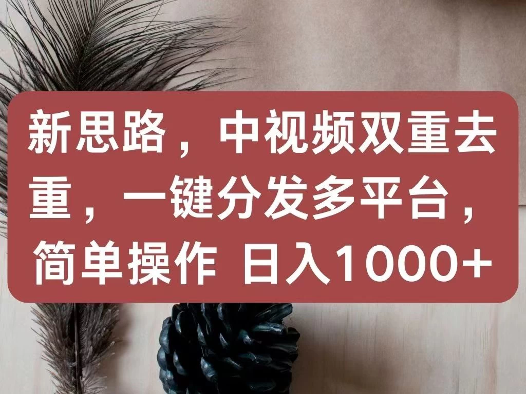 新思路,中视频双重去重,一键分发多平台,简单操作,日入1000+!快来试试吧! - 阿泽资源网