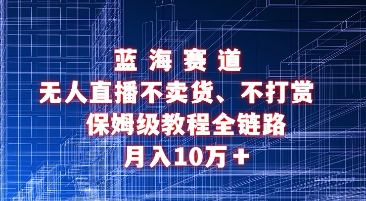 无人直播不卖货、不打赏保姆级教程全链路 月入10万＋ - 阿泽资源网