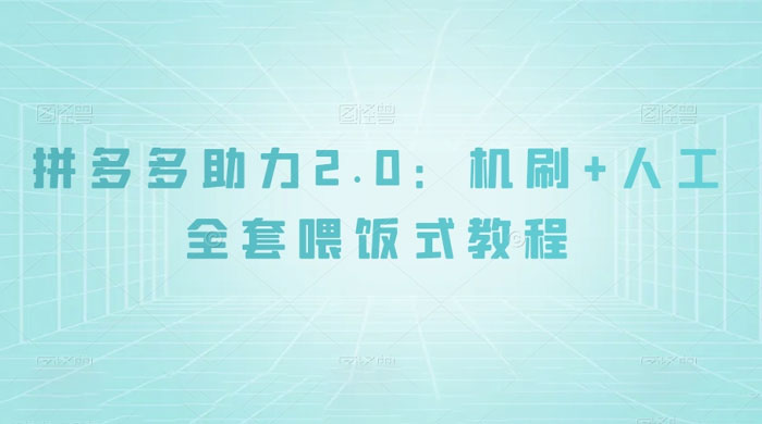 拼夕夕助力 2.0 新玩法:机刷+人工全套交付,喂饭式教程 - 阿泽资源网