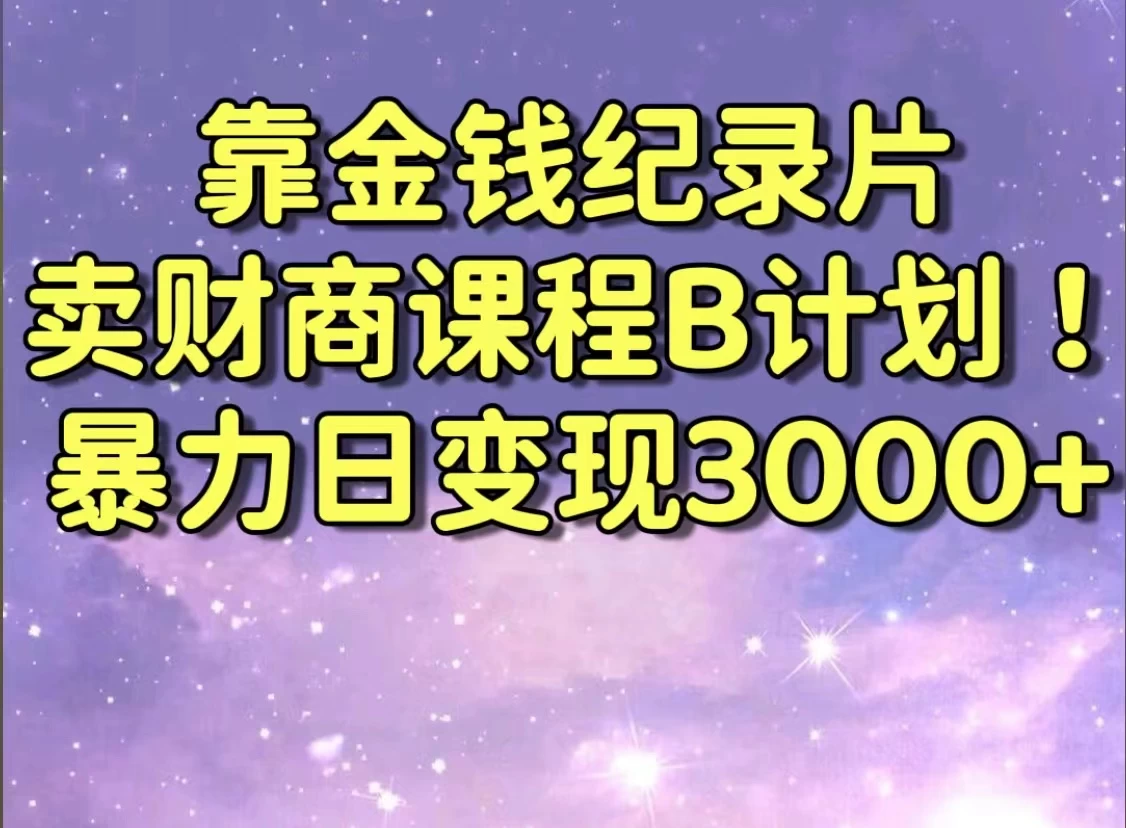 靠金钱纪录片卖财商课程，暴力日变现3000+，喂饭级干货教学！！ - 阿泽资源网