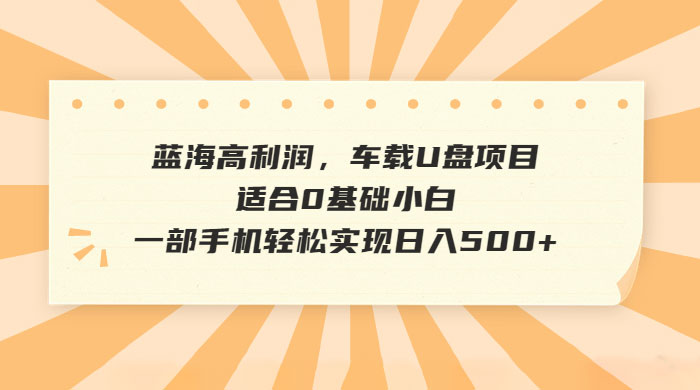 蓝海高利润,车载 U 盘项目,适合 0 基础小白 蓝海高利润,车载 U 盘项目,适合 0 基础小白
