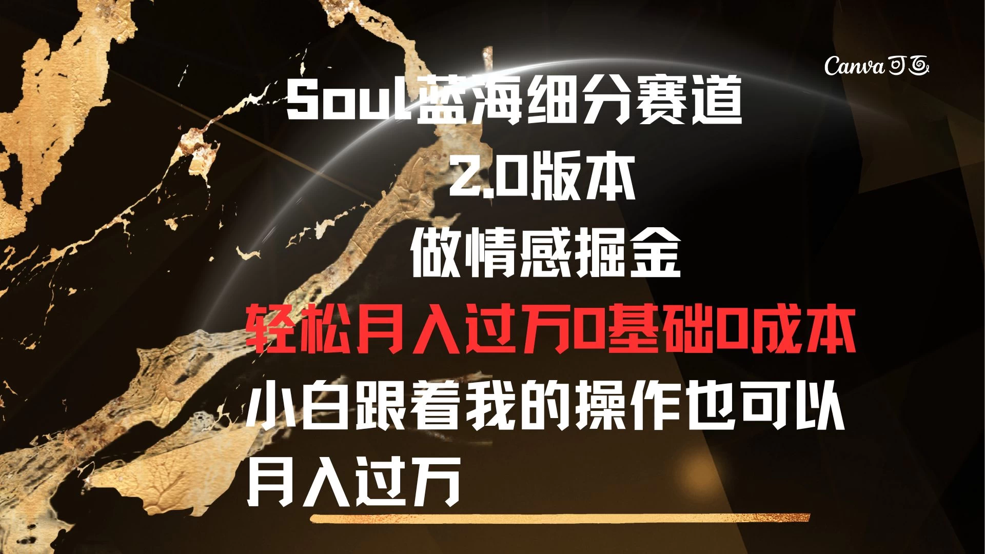 Soul蓝海细分赛道，2.0版本，做情感掘金，轻松月入过万，0基础，0成本，小白跟着我的操作也可以月入过万 - 阿泽资源网
