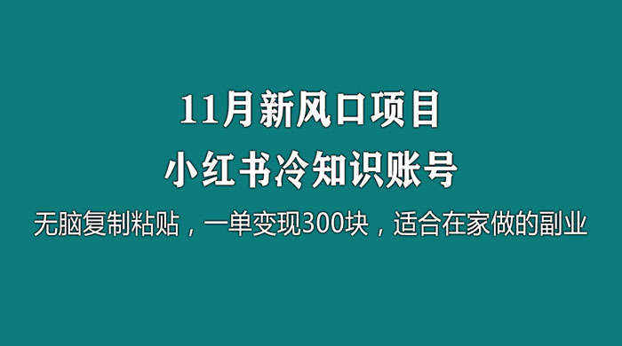 11 月新风口项目，小红书冷知识账号，无脑复制粘贴，一单变现 300 块，适合在家做的副业 - 阿泽资源网