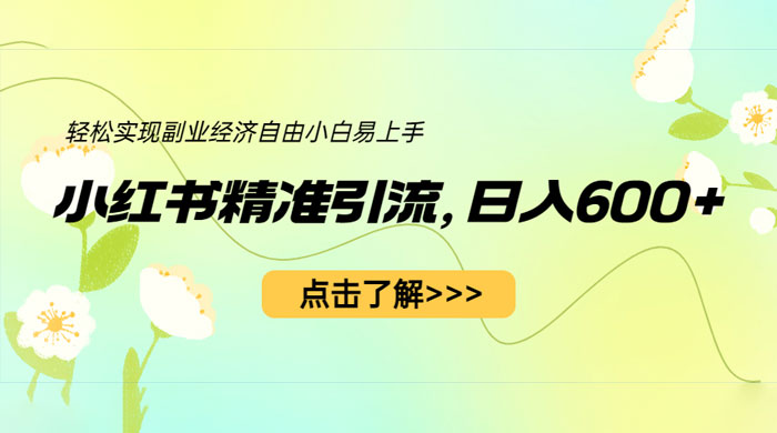 小红书精准引流：轻松实现副业经济自由（教程 + 1153G 资源） - 阿泽资源网
