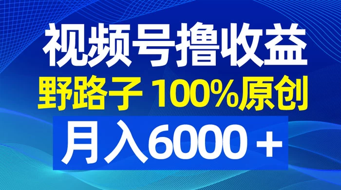 视频号野路子撸收益，100% 原创，条条爆款，月入 6000+ - 阿泽资源网