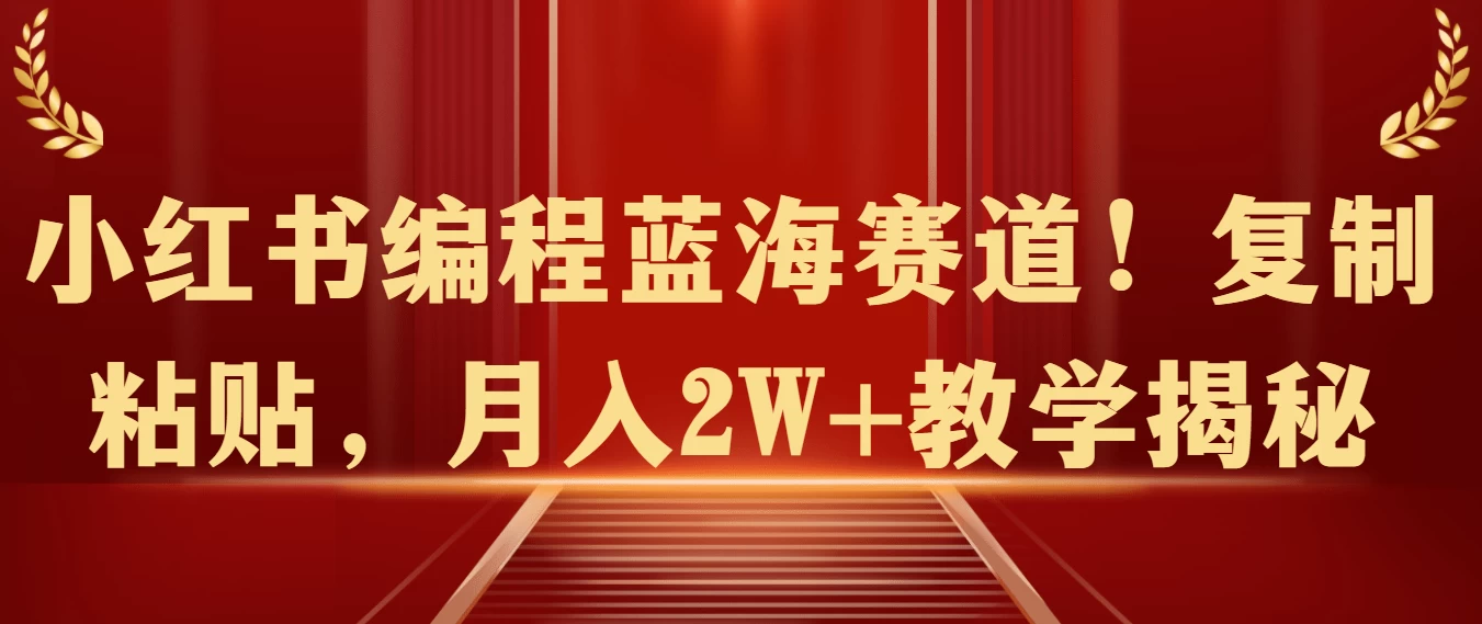 小红书编程蓝海赛道！复制粘贴，月入2W+教学揭秘 - 阿泽资源网