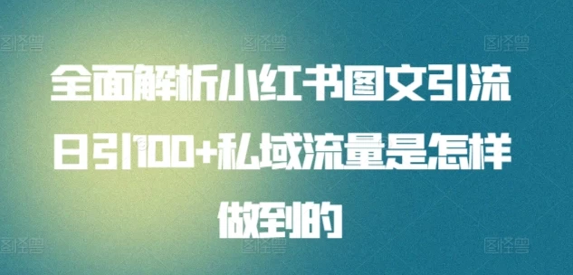 全面解析小红书图文引流日引100私域流量是怎样做到的 - 阿泽资源网