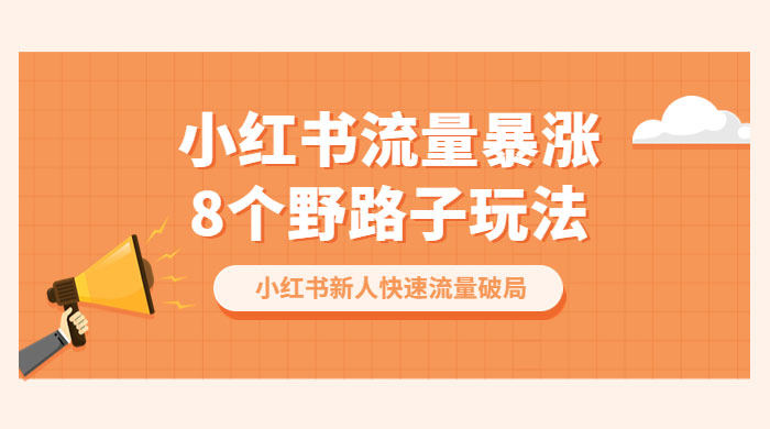 小红书流量暴涨 8 个野路子玩法:小红书新人快速流量破局( 8 节课) 小红书流量暴涨 8 个野路子玩法:小红书新人快速流量破局( 8 节课)