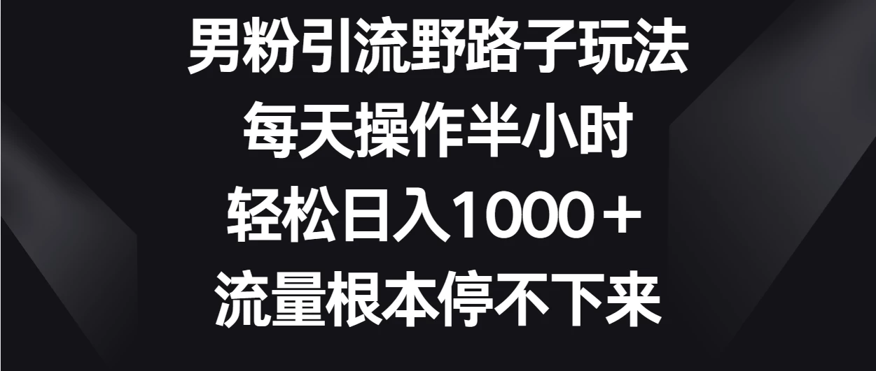 男粉引流野路子玩法,每天操作半小时轻松日入1000+,流量根本停不下来 - 阿泽资源网