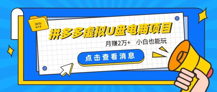 拼多多虚拟U盘电商红利项目：月赚2万+，新手小白也能玩 - 阿泽资源网