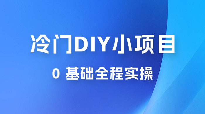 日入几百的冷门 DIY 小项目 0 基础全程实操 - 阿泽资源网