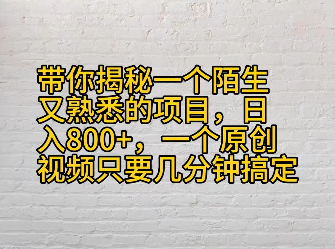 带你揭秘一个陌生又熟悉的项目，日入800+，一个原创视频只要几分钟搞定 - 阿泽资源网
