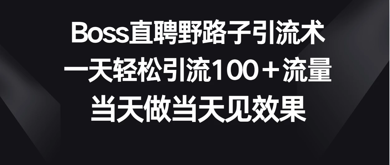 Boss直聘野路子引流术，一天轻松引流100+流量，当天做当天见效果 - 阿泽资源网