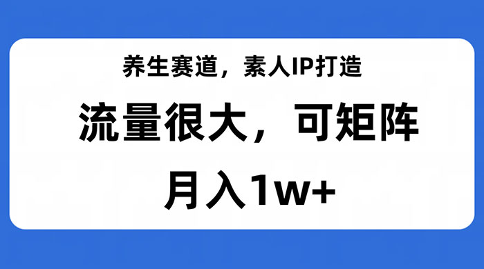 养生赛道，素人IP打造，流量很大，可矩阵，月入1w+ - 阿泽资源网