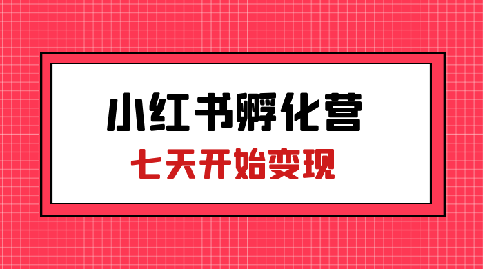 价值 2000+ 的小红书孵化营项目，超级大蓝海，七天即可开始变现，稳定月入 1W+ - 阿泽资源网