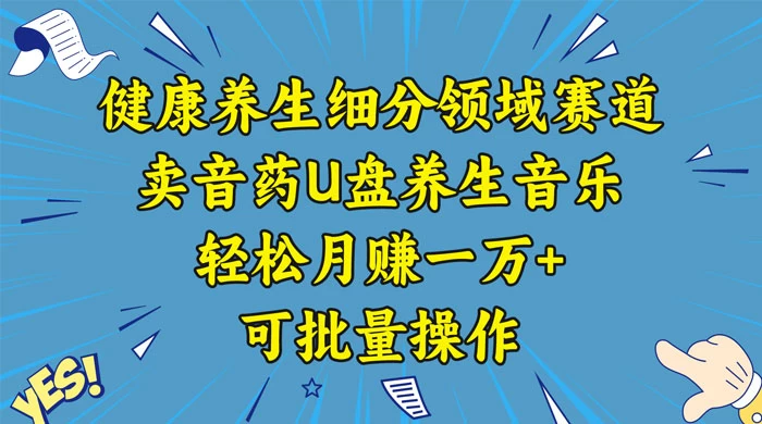 健康养生细分领域赛道,卖音药U盘养生音乐,轻松月赚一万+,可批量操作 - 阿泽资源网