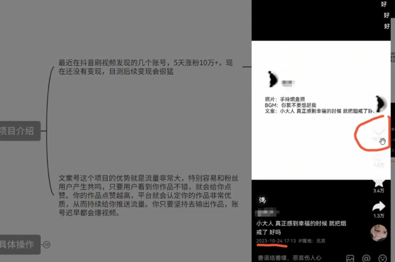 图片[2] - 最新抖音暴力文案号，五天涨粉 10w+，喂饭级拆解教学 - 阿泽资源网