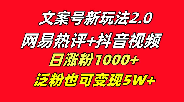 文案号新玩法,网易热评+抖音文案 一周轻松涨粉 5W+ 多种变现模式 - 阿泽资源网