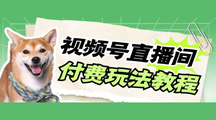 视频号美女付费无人直播，轻松日入500+（详细玩法教程） - 阿泽资源网