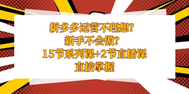 拼多多运营不理想？新手不会做？​15 节系列课+ 2 节直播课，直接掌握 - 阿泽资源网