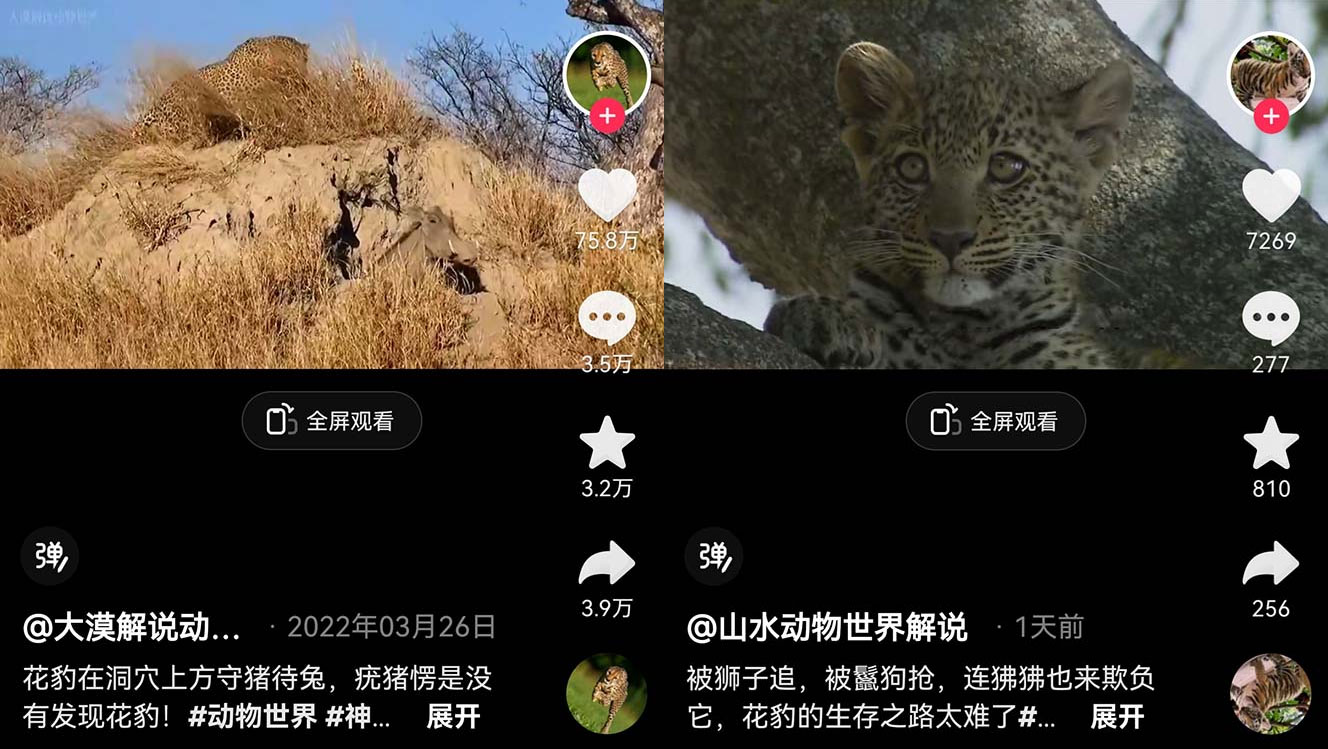 外面卖 1699 的国外纪录片解说：动物、美食、动画片解说，稳过中视频 - 阿泽资源网