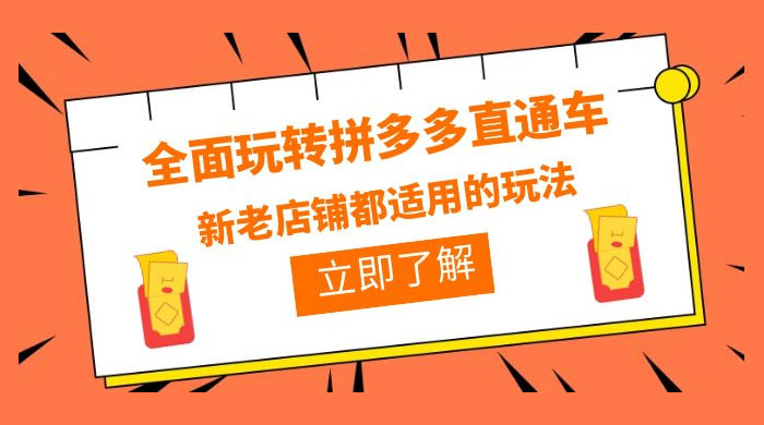 全面玩转拼多多直通车：新老店铺都适用的玩法 12 节精华课 - 阿泽资源网